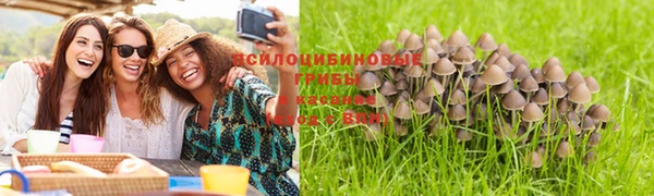 бошки Аркадак