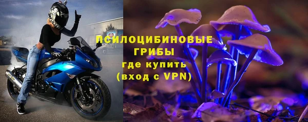 бошки Аркадак
