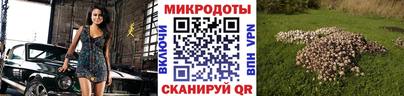 Галлюциногенные грибы мухоморы  где купить наркоту  Балей 